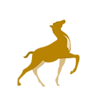 XIHONG BM